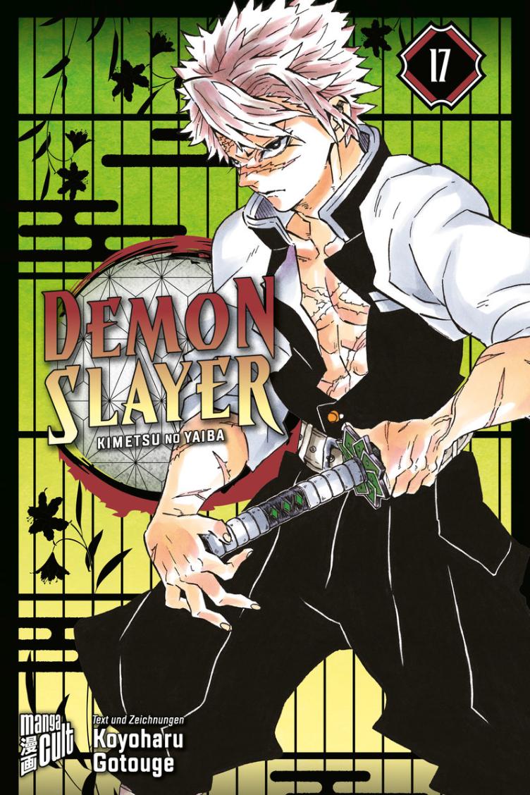 Demon Slayer Kimetsu no Yaiba 17