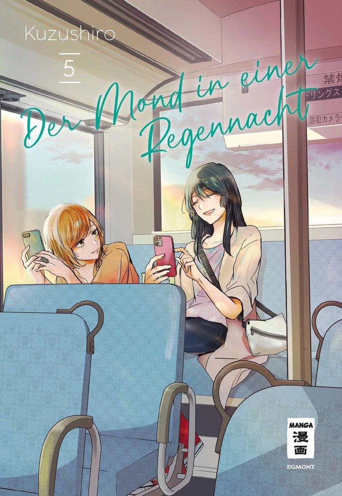 Der Mond in einer Regennacht 5