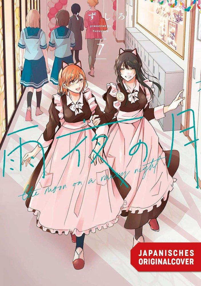 Der Mond in einer Regennacht 7