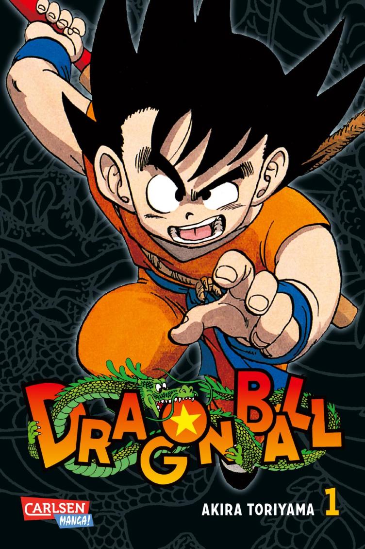 Dragon Ball Massiv 01