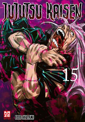 Jujutsu Kaisen 15
