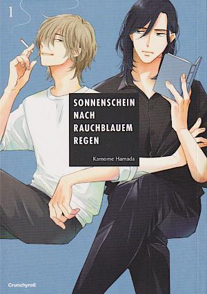 Sonnenschein nach rauchblauem Regen 01